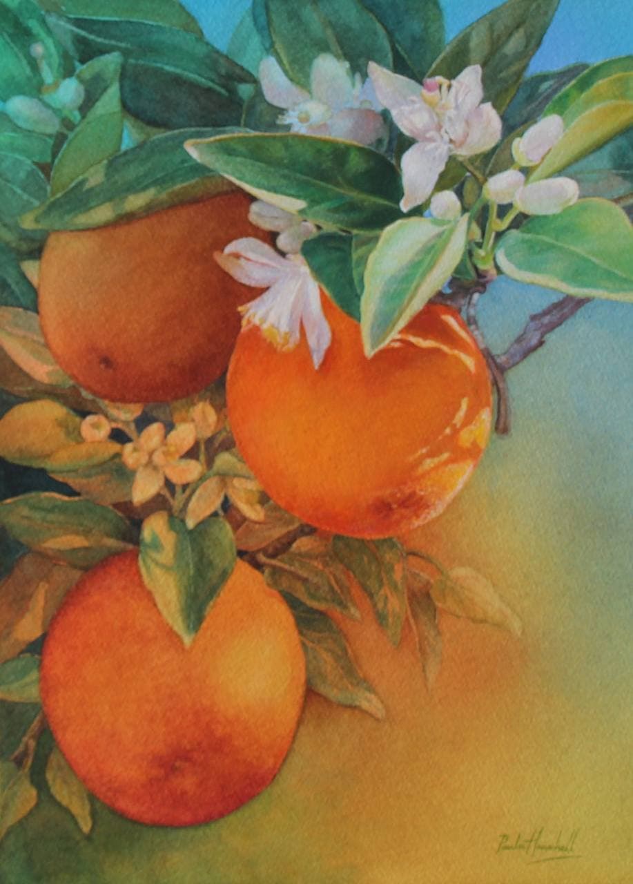 Orange Blossoms