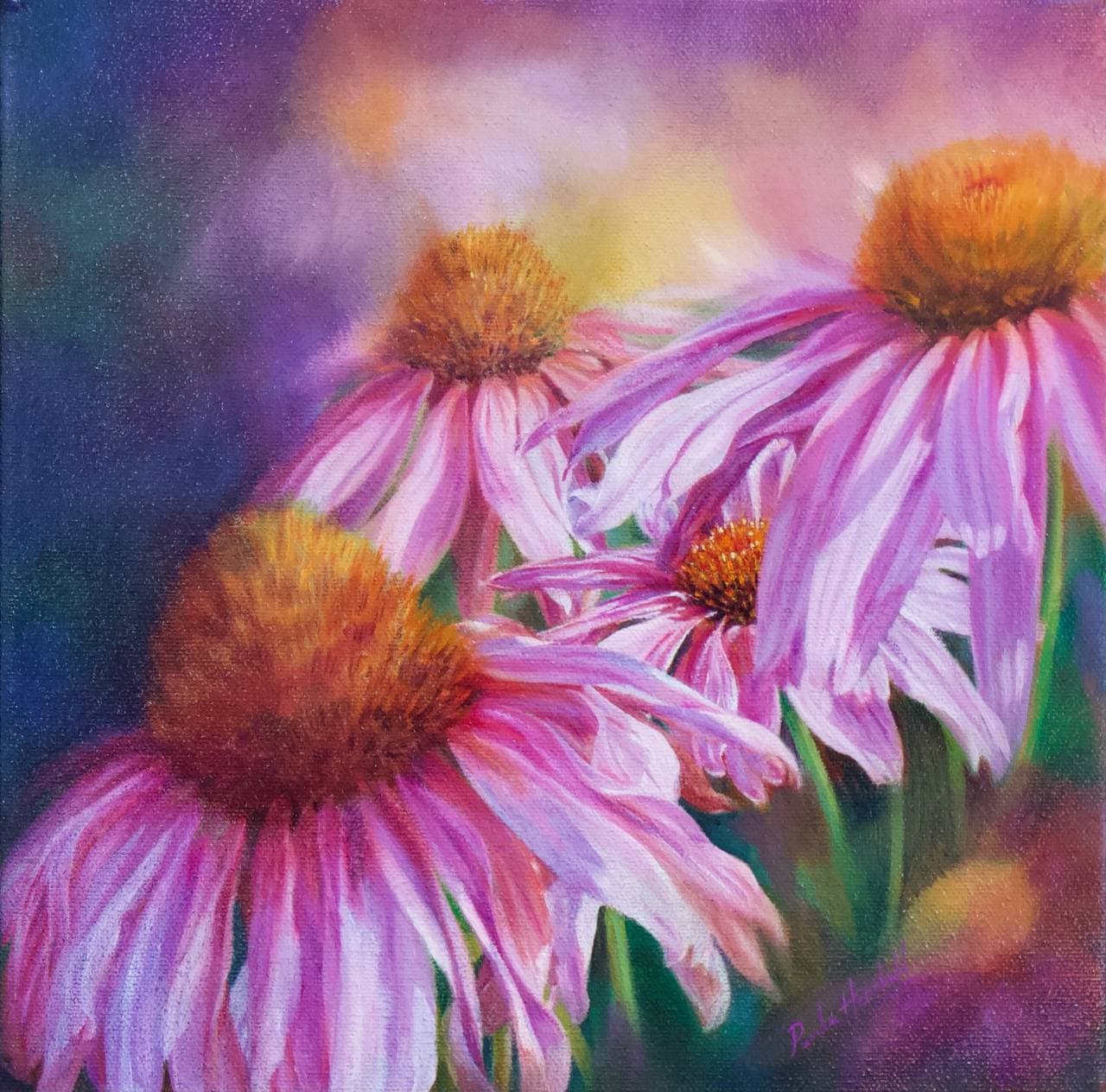 Purple Coneflowers
