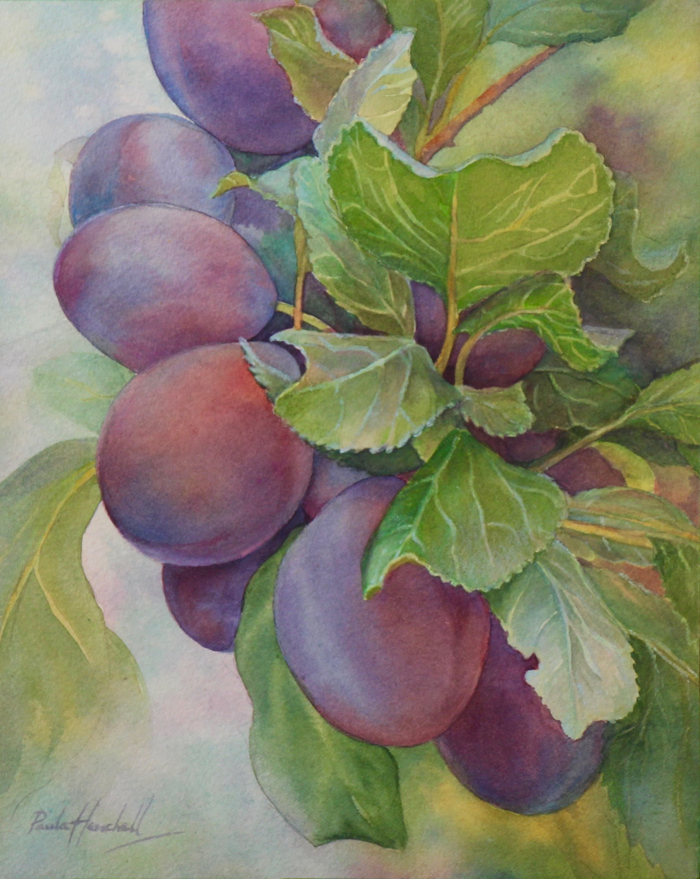 Golden Prairie Evening