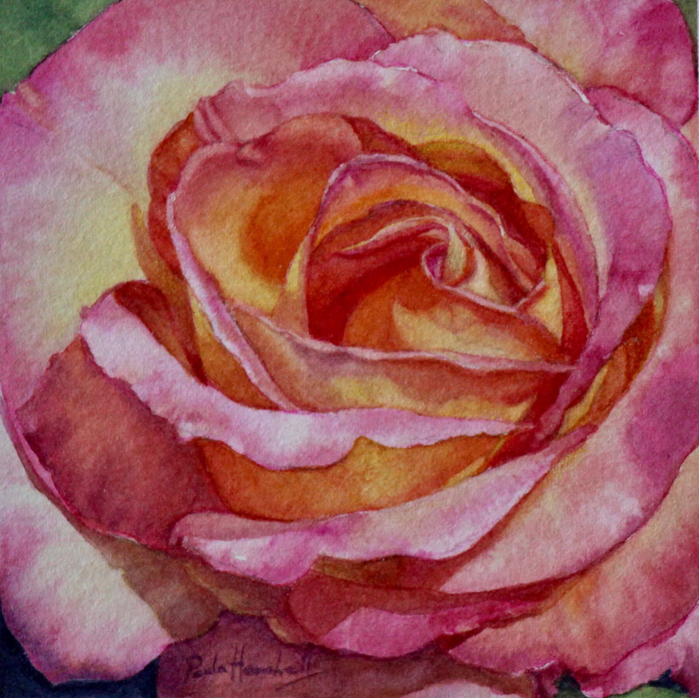 Garden Blooms in Light